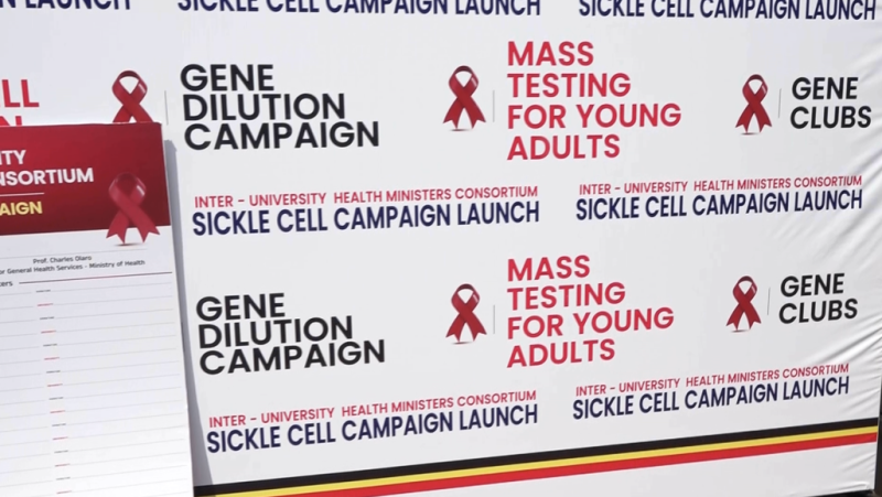 Ministry of Health to Screen Sickle Cell among Students in Institutions