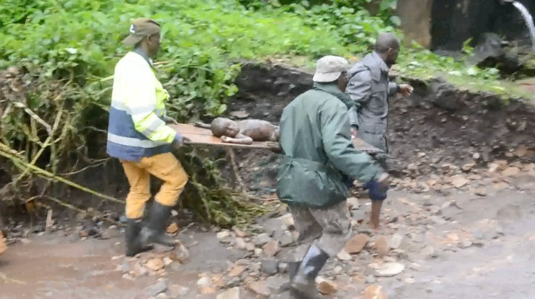 Kasese mudslide : 15 confirmed dead, 3 still missing