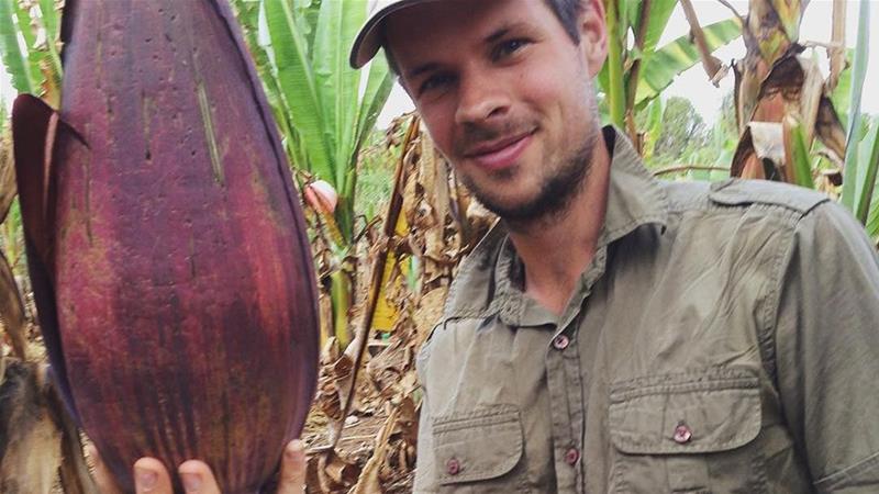 'Banana on steroids': A potential life saver for warming world
