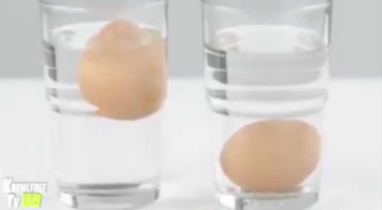 Manufactured Fake Eggs Storm The Market